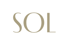 developer logo